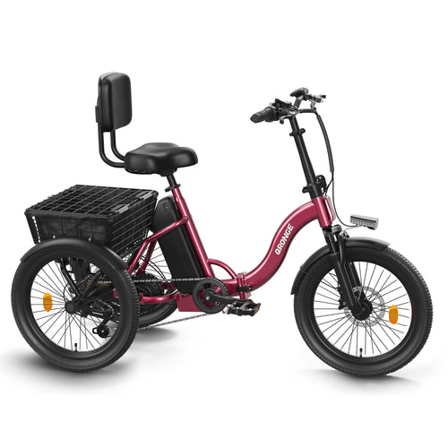 Toread Electric Tricycle