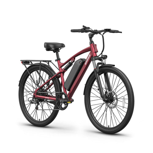 Zephyr Ebike