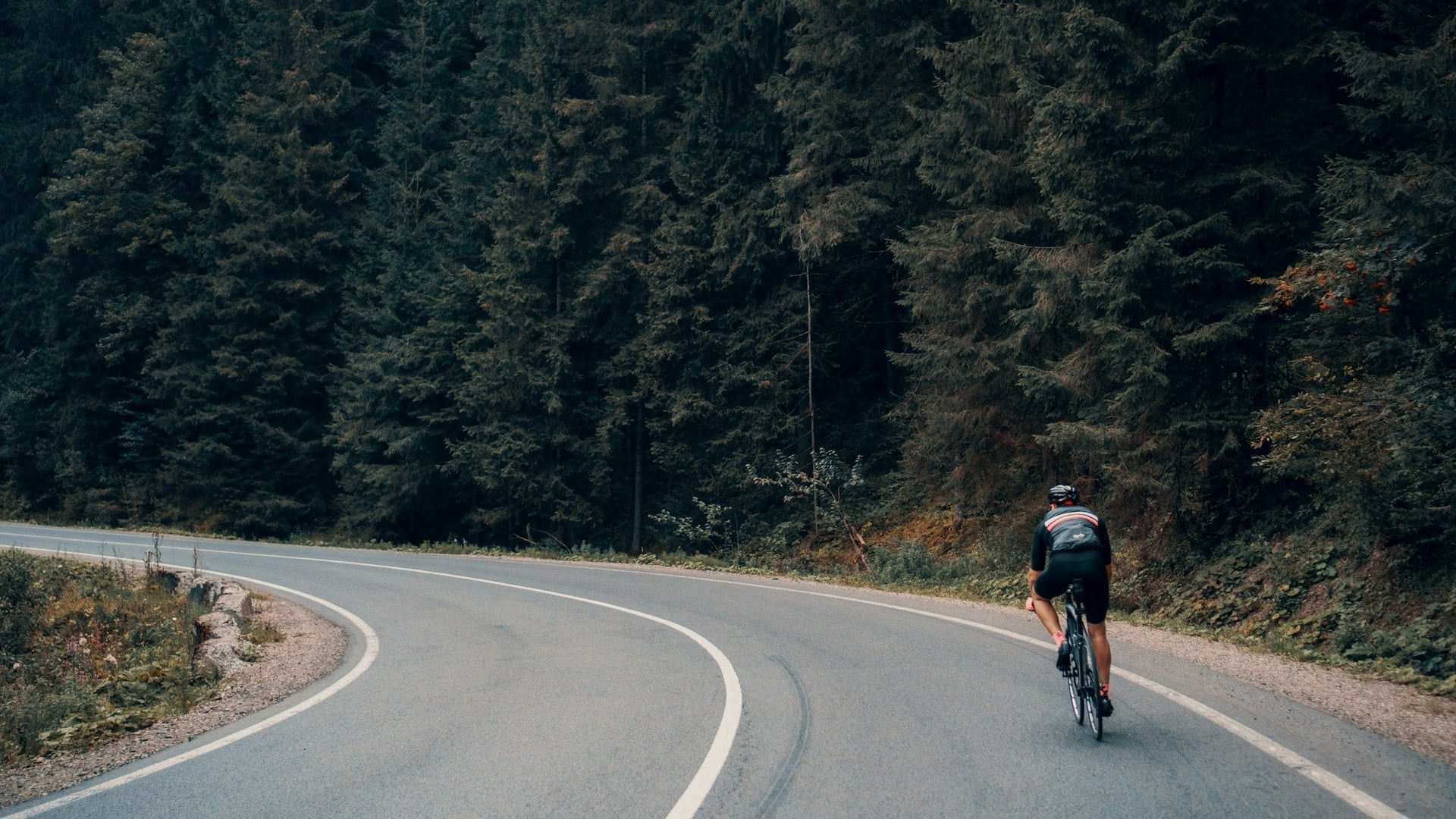 Fat Tire vs. Regular Tire: Which Is Better for Your Ride?