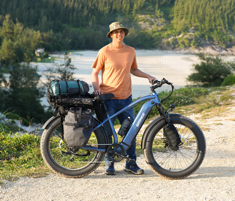 Thunder*2 Ebike