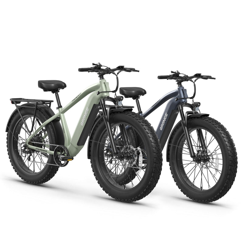 Thunder*2 Ebike - Gray+Green