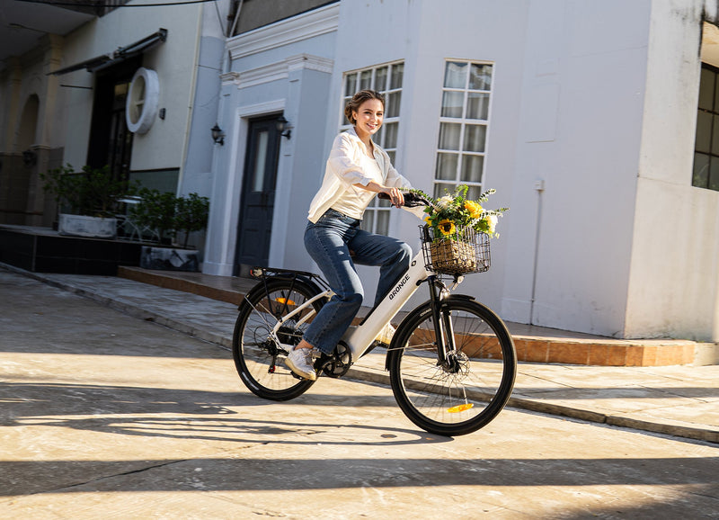 Meteors ST Ebike