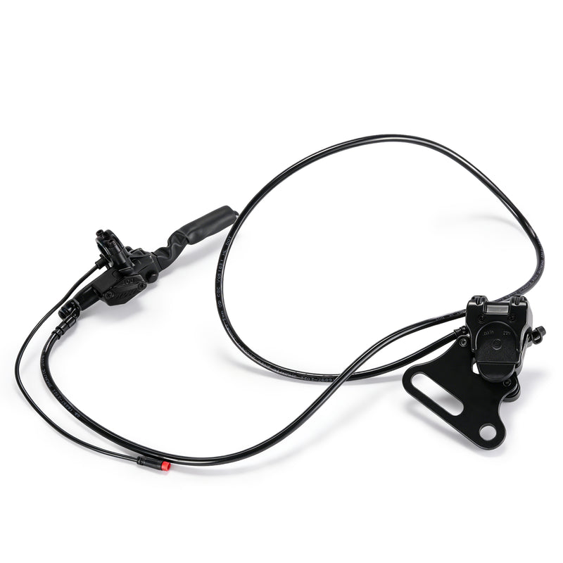 Rear Brake