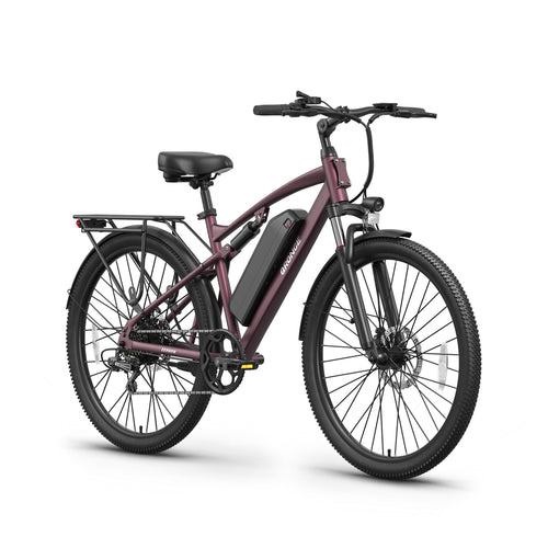 Zephyr Ebike