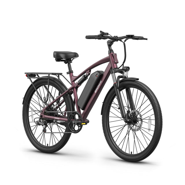 Zephyr Ebike