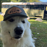 <p>My very first e-bike and first ride on a e-bike #Qronge Zephyr</p>