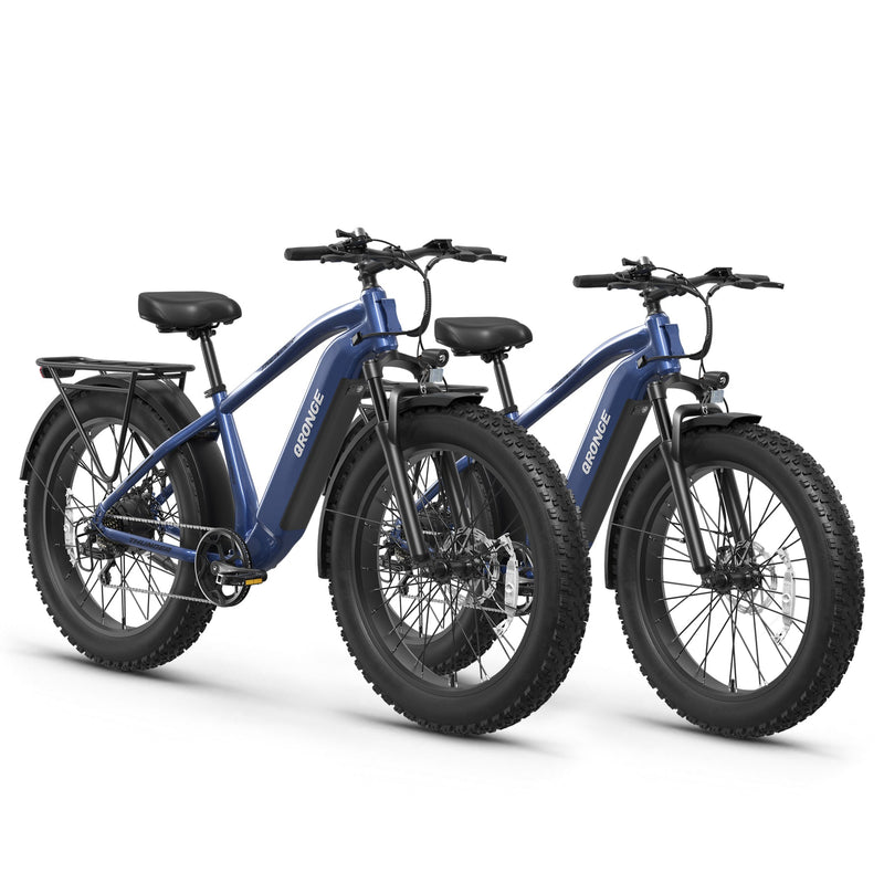 Thunder*2 Ebike - Blue+Blue