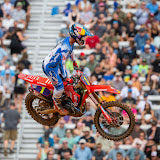 <p>Dogs LOVE This E-Trike! Qronge Lava!</p>