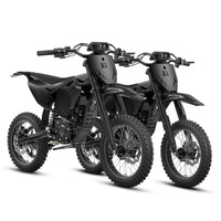 X1 Spark M*2 Electric Mini Bike