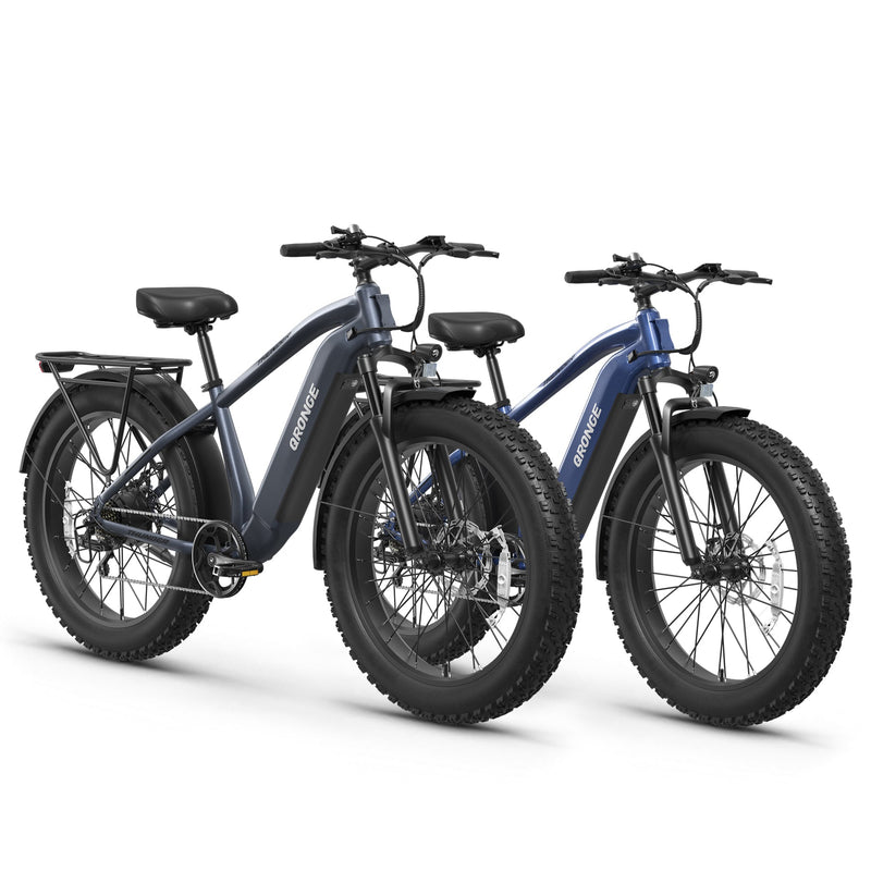Thunder*2 Ebike - Gray+Blue