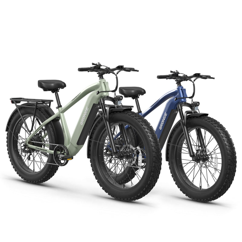 Thunder*2 Ebike - Basalt Blue+Green