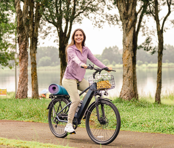 Discoverer Ebike